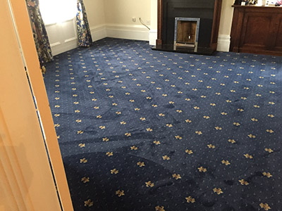 Dark blue patterned carpet in lounge